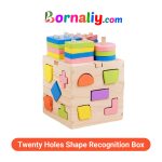 Twenty Holes Shape Recognition Box
