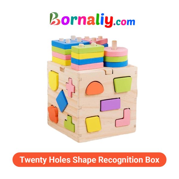 Twenty Holes Shape Recognition Box